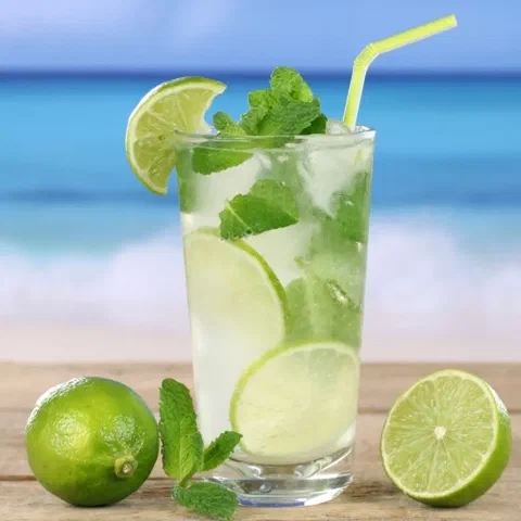 Mojito de limón y romero, con rodajas de limón y menta de decoración