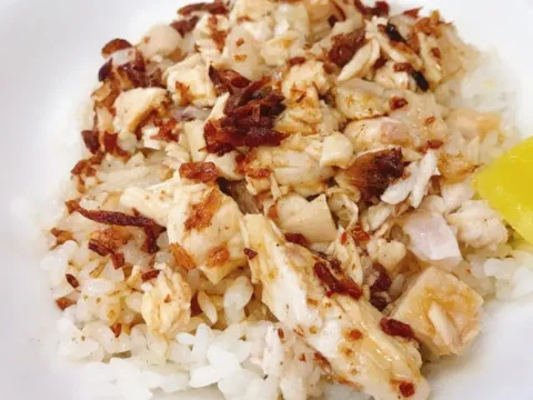 Pechuga de pollo jirou fan, deshilachada sobre arroz con salsa de cebolla y nabo encurtido