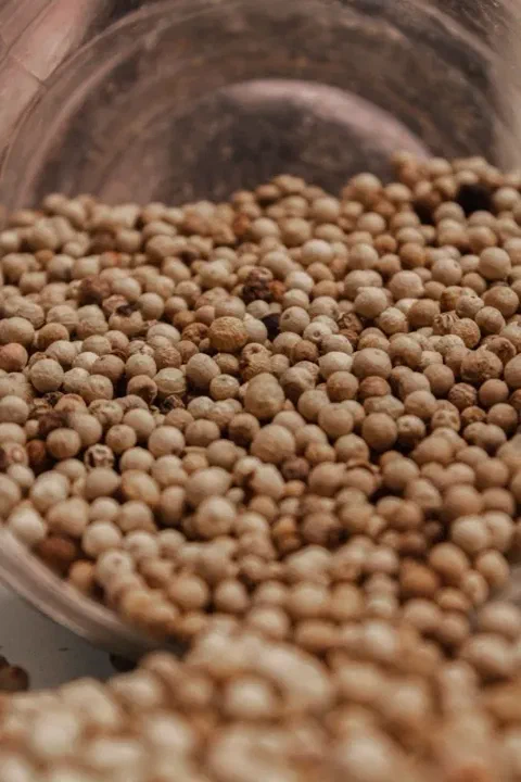 Granos de pimienta blanca