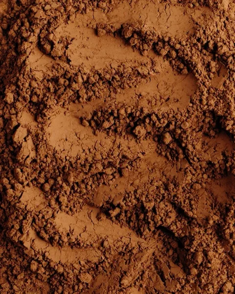 Textura de cacao en polvo