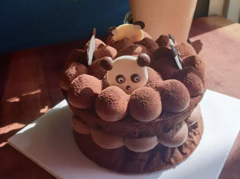 Gâteau au chocolat espolvoreado con cacao, decorado con forma de oso panda